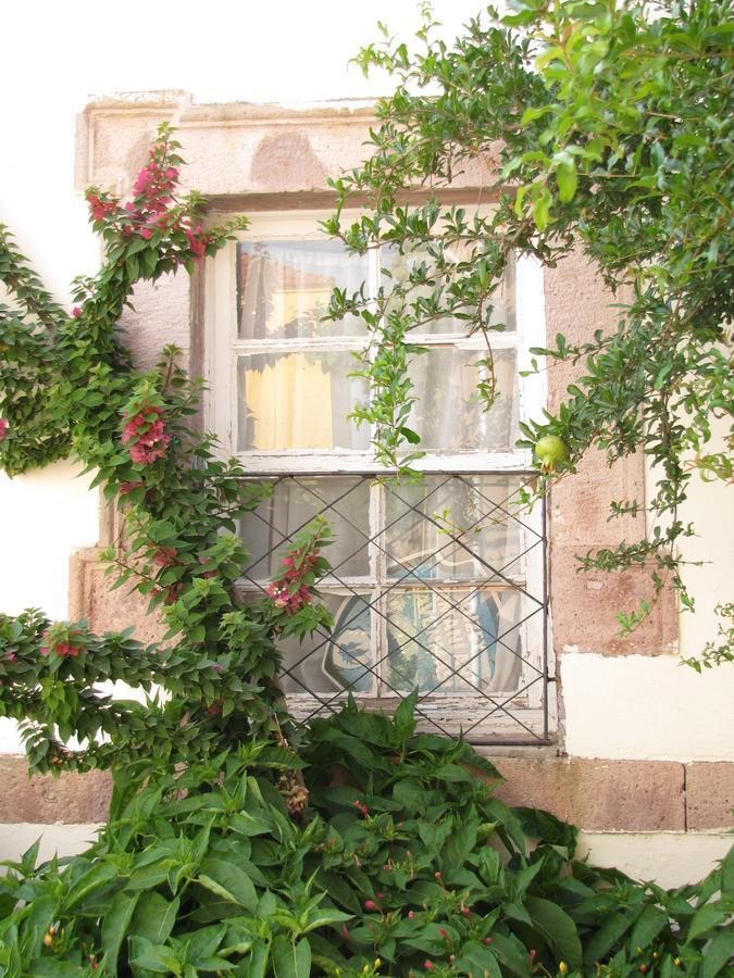 Eolos House Cunda Ayvalı Extérieur photo